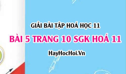 Giải bài 5 trang 10 SGK Hoá 11: Axit Bazơ và Muối